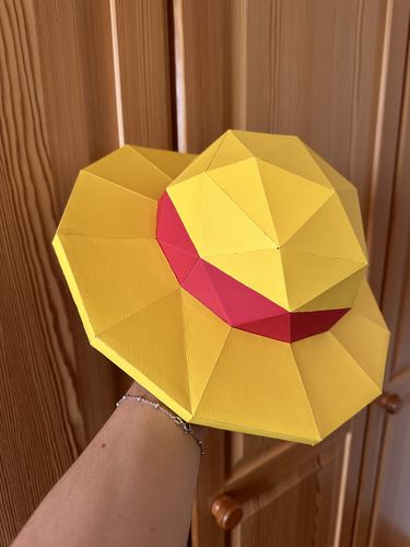 Customer photo review of Patrons Chapeau de paille de Luffy (pdf)