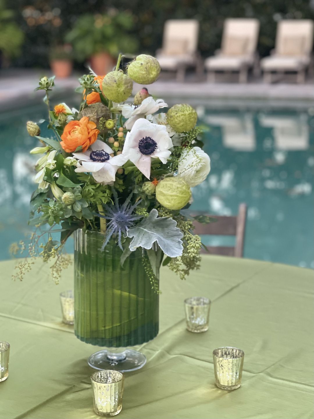 Customer photo review of White and Black Anemone