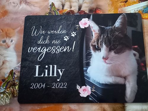 Customer photo review of Hunde Gedenktafel mit Foto & Spruch