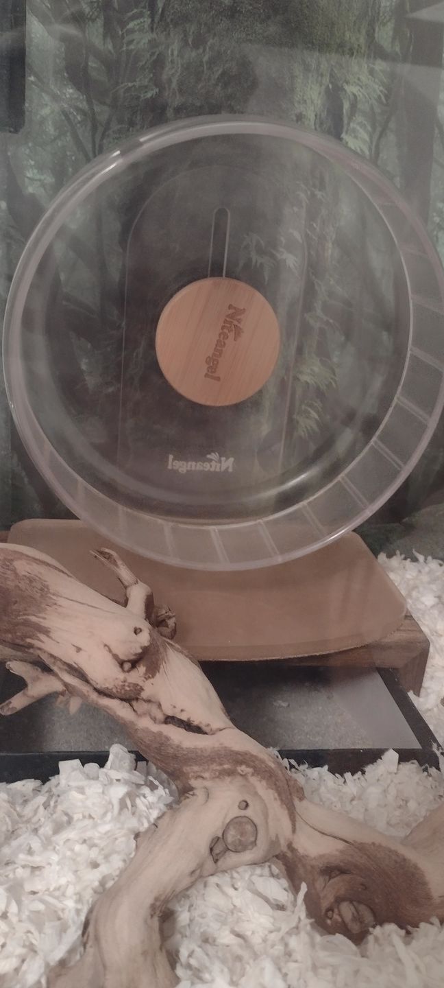 Customer photo review of Niteangel Super-Silent Hamster Exercise Wheels