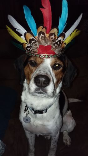 Customer photo review of White