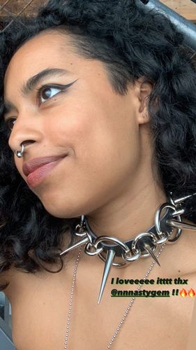 Customer photo review of Matrix Collar