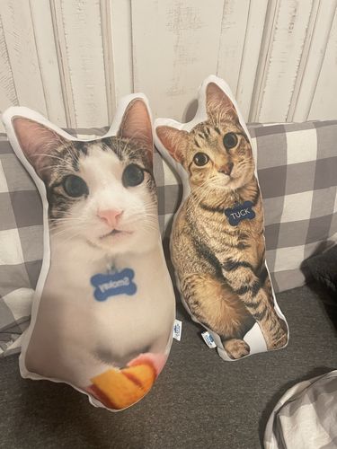 Customer photo review of Create A Custom Cat Pillow