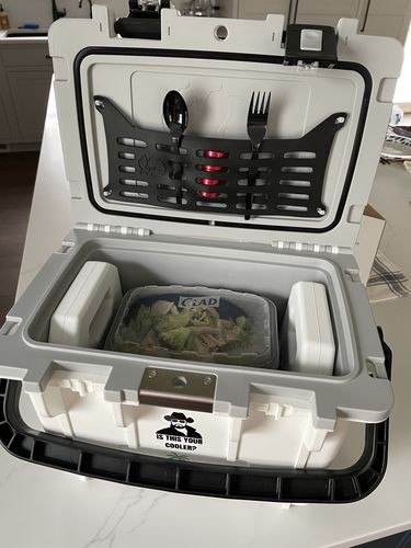 Customer photo review of Pelican Reusable Ice Packs for Coolers