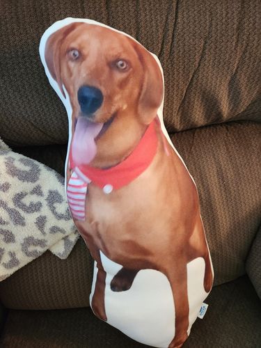 Customer photo review of Create A Custom Dog Pillow