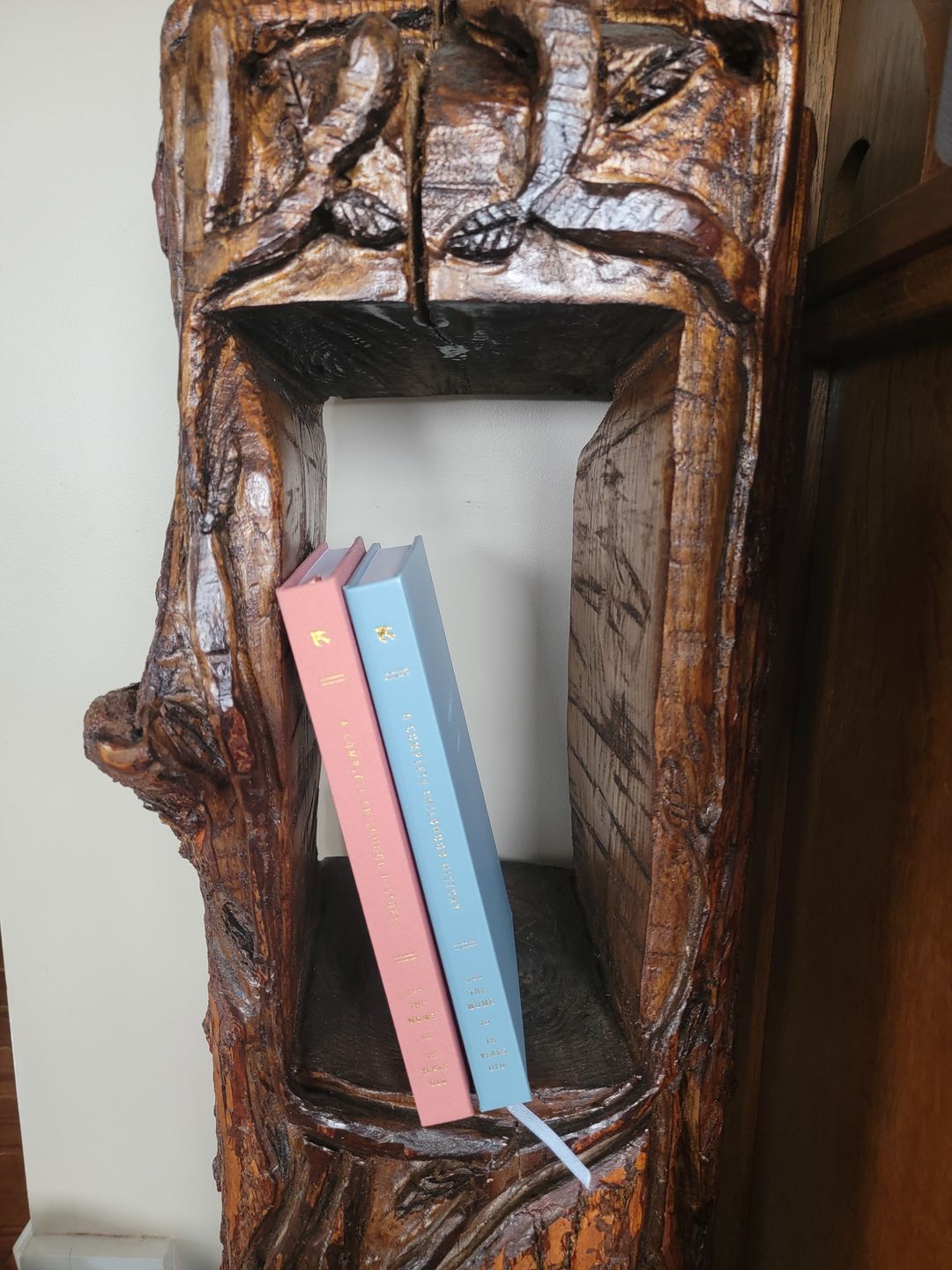 Customer photo review of Childhood History - Dusty Blue Leatherette +Dusty Rose BUNDLE