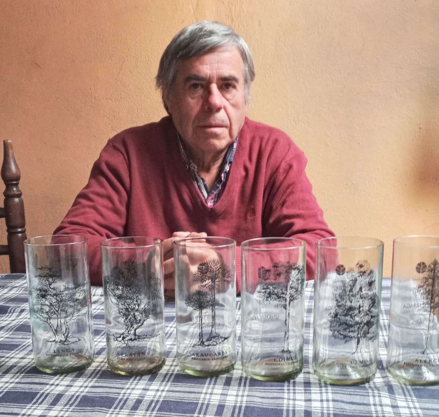 Customer photo review of Juego de 6 Vasos Árboles de Chile