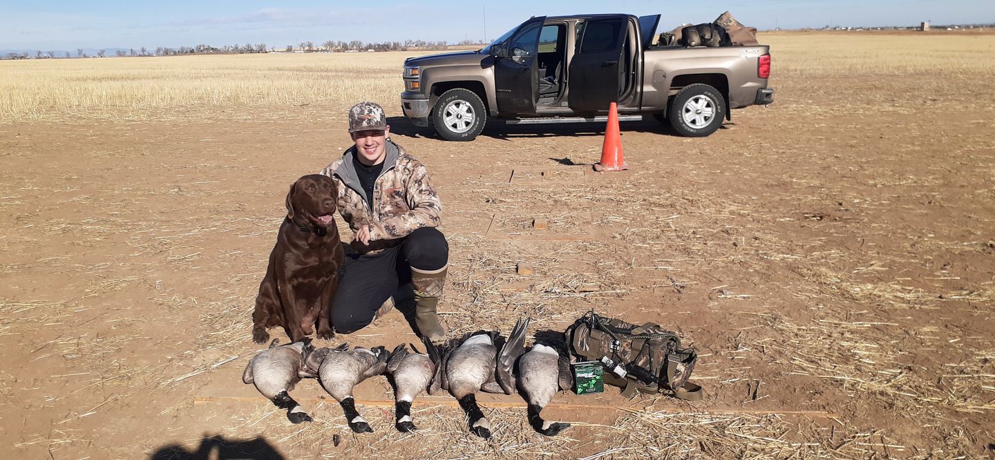 Customer photo review of Goose Guts