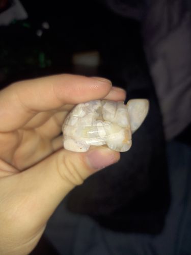 Customer photo review of Mini Flower Agate Tortoise 🐢 🌸