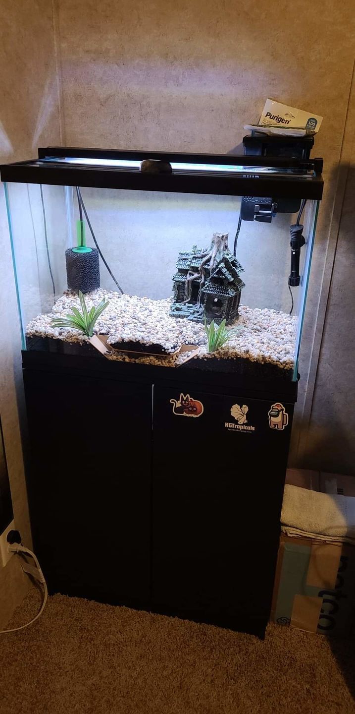 Customer photo review of Tidal Power Filters From Seachem/Sicce