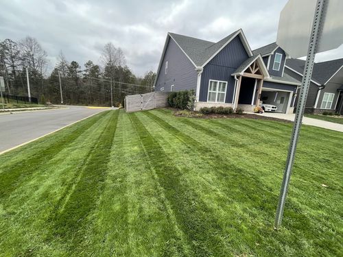 Customer photo review of GCI Turf Spreader Elite Grass Seed