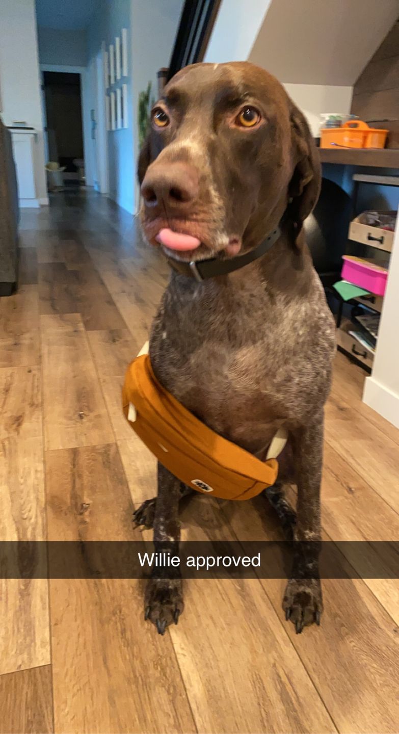 Customer photo review of Louie Sling Rust
