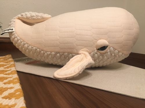 Customer photo review of The Beluga