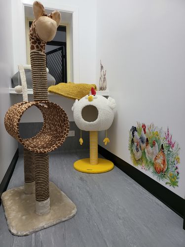 Customer photo review of ZEZE Chicken Cat House With Scratching Post