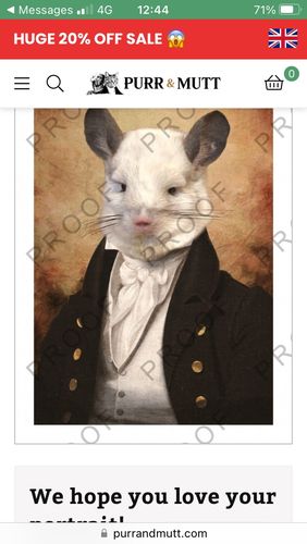 Customer photo review of The Baron - Custom Vintage Pet Portrait