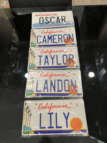Customer photo review of CALIFORNIA COASTLINE LICENSE PLATE 6"x12" (156.5mm x 305mm)