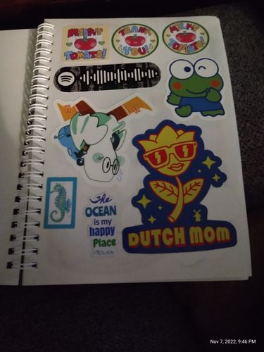 Customer photo review of Runaway Ghost Stickers!  Website Exclusive
