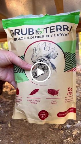 Customer video review of GrubTerra Dried Larvae