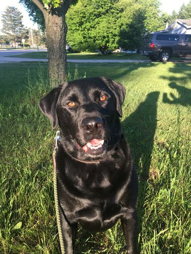 Customer photo review of Buy 1 Get 2 Free Special Offer