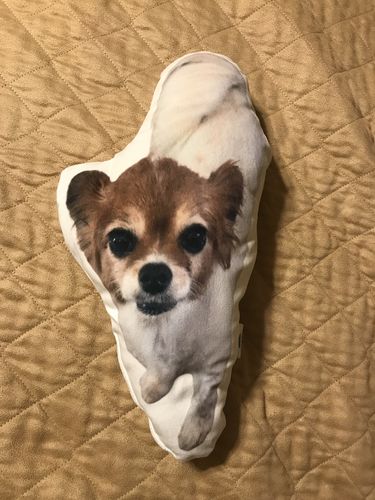 Customer photo review of Create A Custom Dog Pillow
