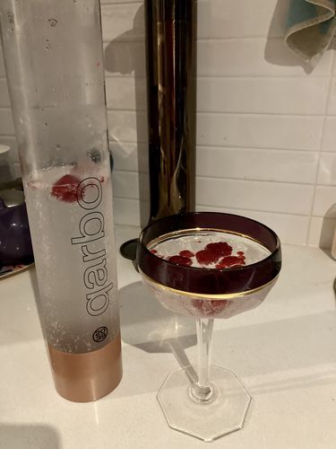 Customer photo review of qarbo Sparkling Water Maker and Fruit Infuser - Bronze