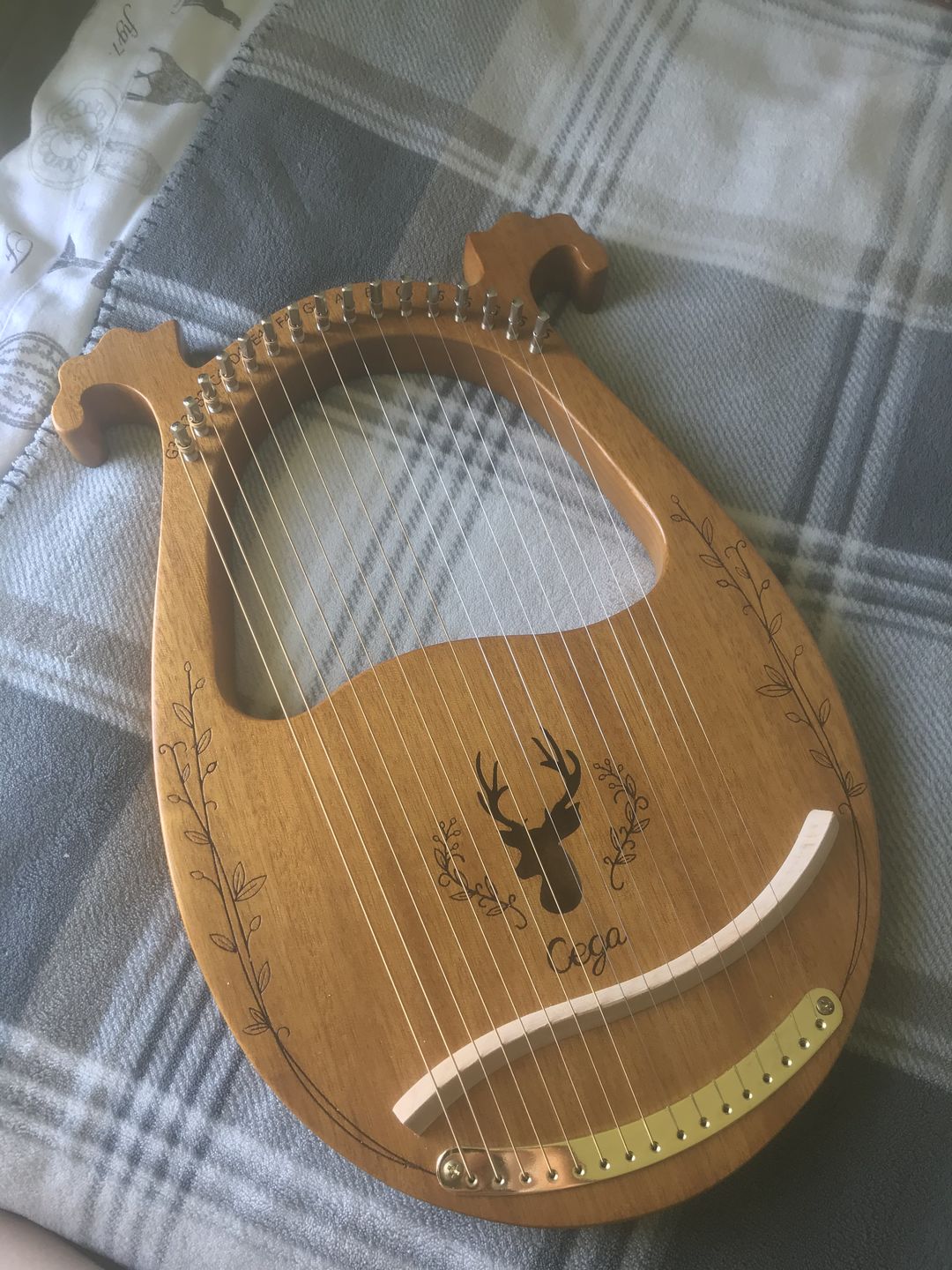 Customer photo review of NARA LYRE 16 String Mahogany w/Bag