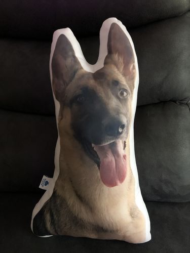 Customer photo review of Create A Custom Dog Pillow
