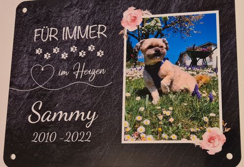 Customer photo review of Hunde Gedenktafel mit Foto & Für immer im Herzen