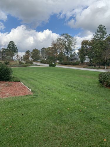 Customer photo review of GCI Turf Spreader Elite Grass Seed