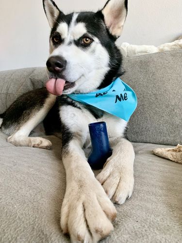 Customer photo review of Freezbone