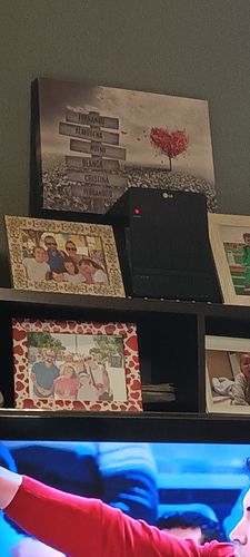 Customer photo review of Lienzo Árbol Corazón con Nombres Personalizados