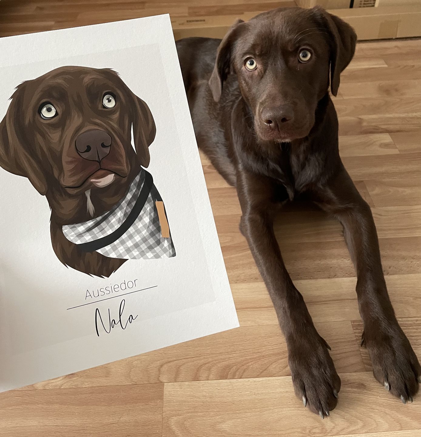 Customer photo review of Portrait deines Tieres