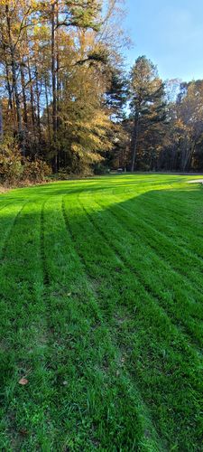 Customer photo review of GCI Turf Spreader Elite Grass Seed