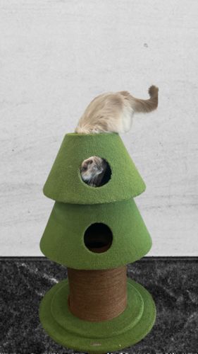 Customer photo review of Super Cat Family Christmas Scratcher Bed Tree