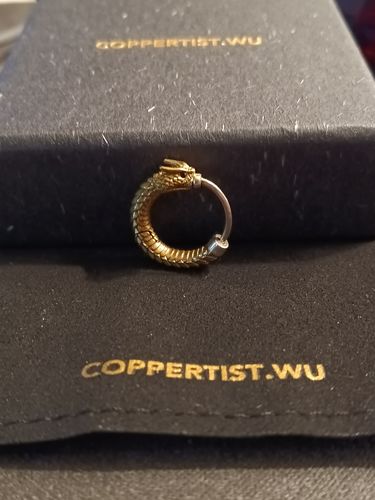 Customer photo review of Ouroboros Earrings