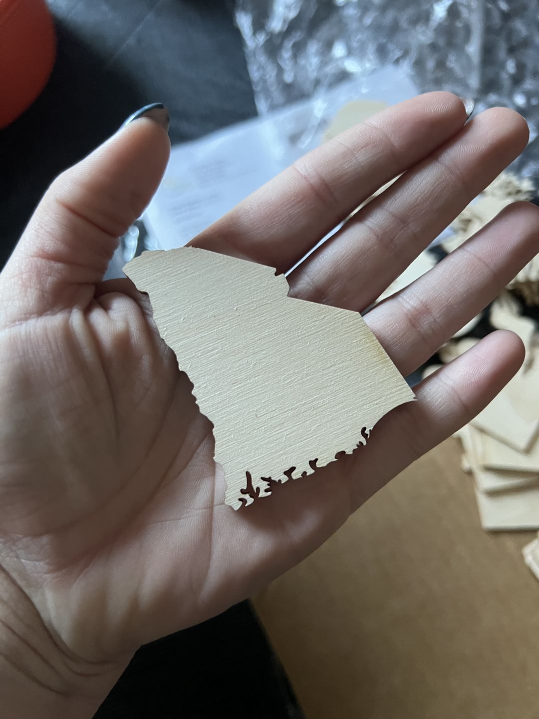 Customer photo review of Unfinished Wood South Carolina Shape - State - Craft - up to 24" DIY