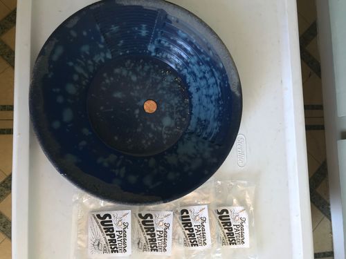 Customer photo review of Treasure Paydirt Surprise '300 GRAM GOLD HUNT' - Gold Paydirt Panning Concentrates