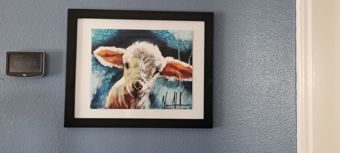 Customer photo review of Innocence