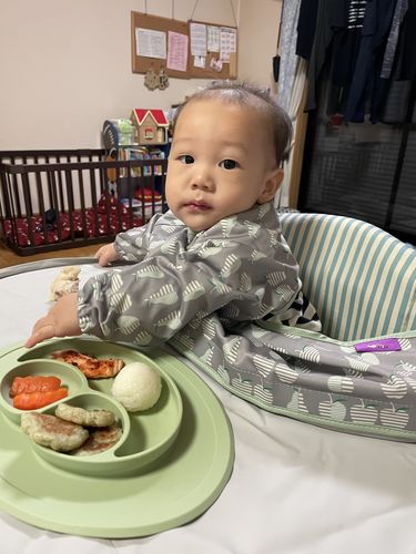 Customer photo review of Bib & Tray Kit