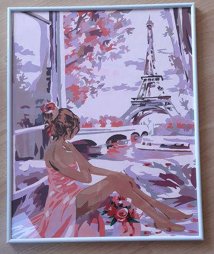 Customer photo review of Malen nach Zahlen - Rosatraum