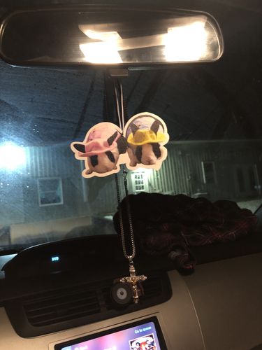 Customer photo review of Buy 1 Get 2 Free Special Offer