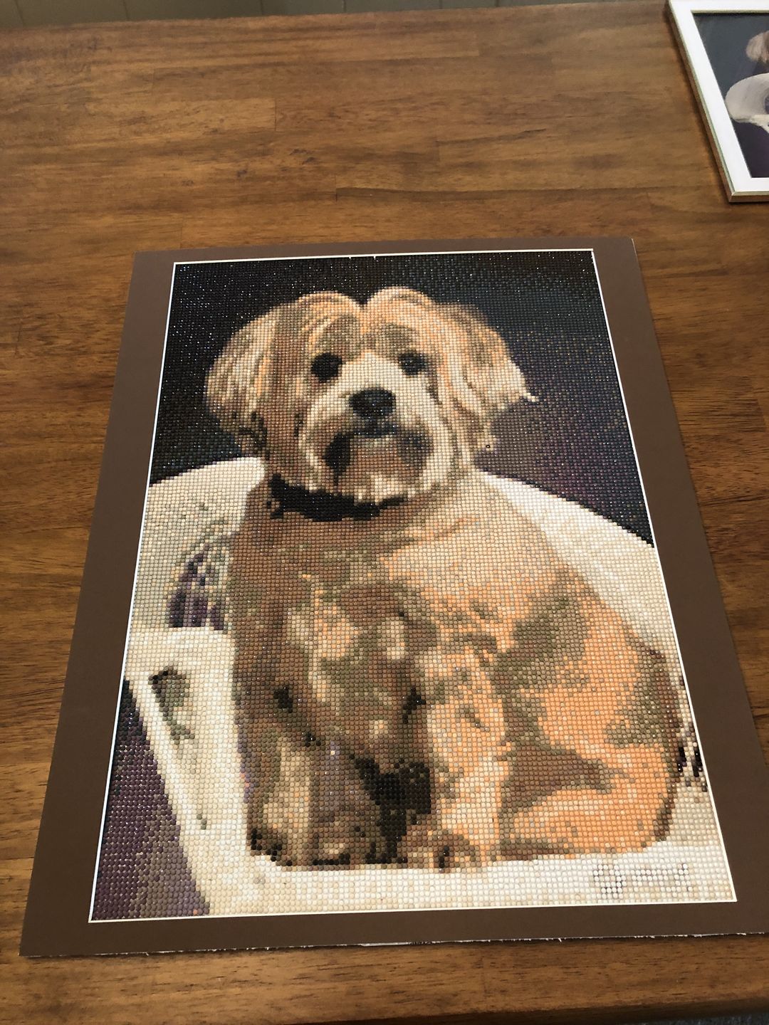 Customer photo review of Custom Diamond Painting Kits for Adults DIY 5D - Photo Diamond Art Shipped from USA