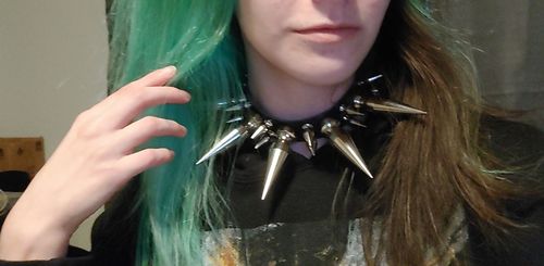 Customer photo review of Heavy Metal OG Collar