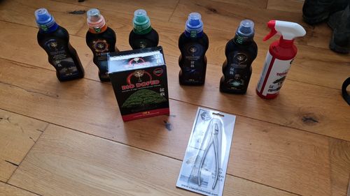 Customer photo review of IMPOSTAZIONE PRIMARIA SEMI CASCATA OLIVASTRO BONSAI CB® (SOLO PER OTTOBRE)