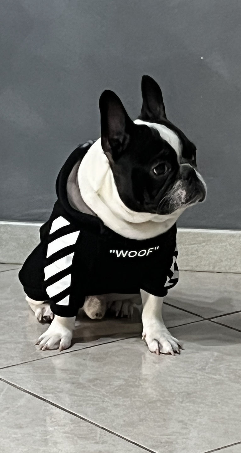 Customer photo review of Felpa "woof" Nera