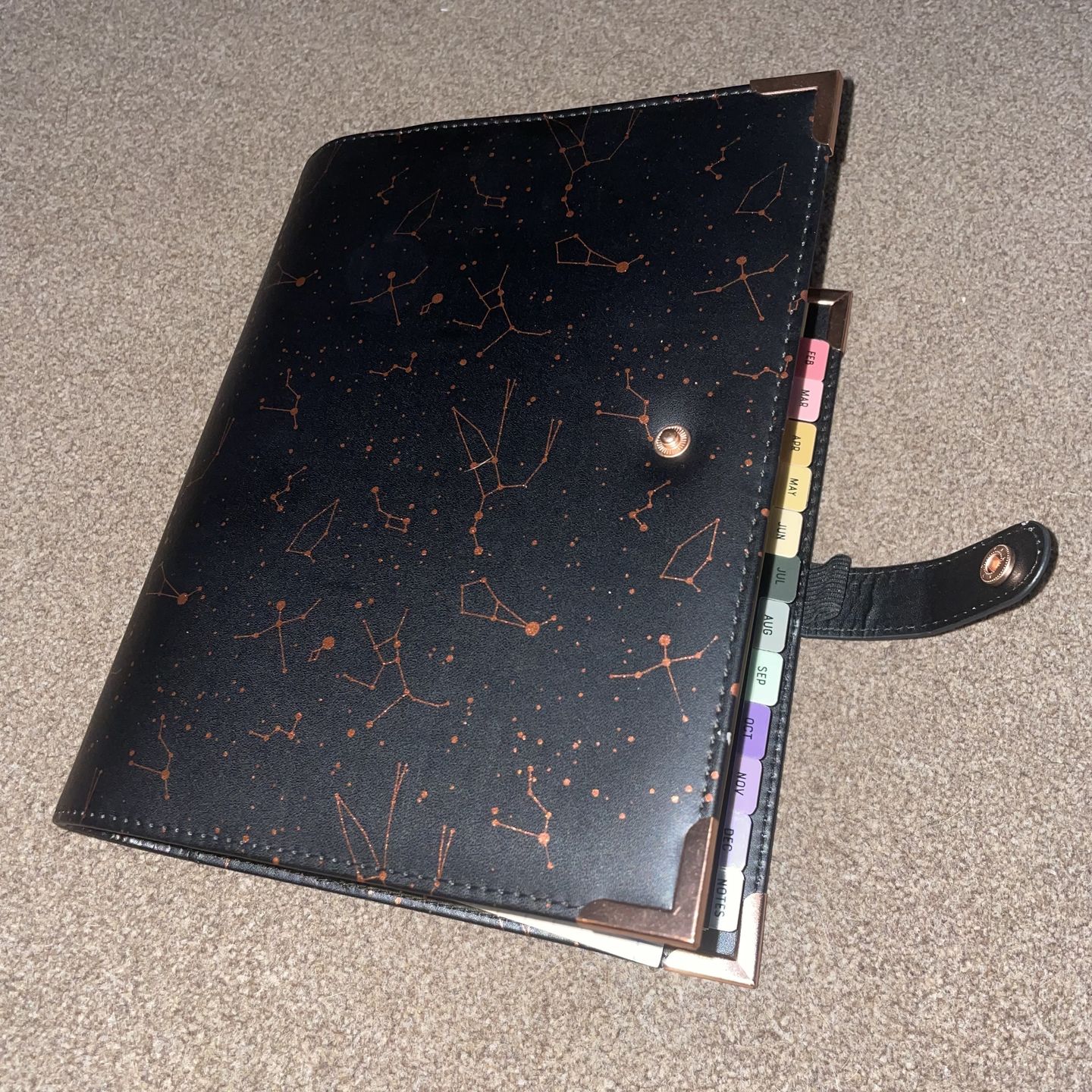 Customer photo review of Astronomy Organiser Shell - Seconds