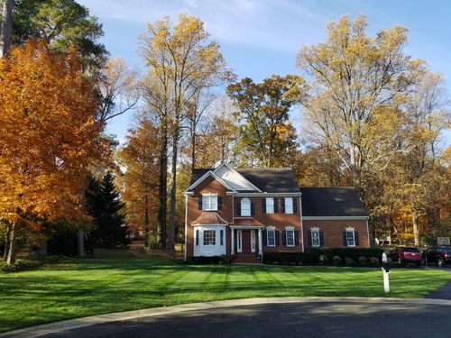 Customer photo review of 18-0-1 GreenePunch