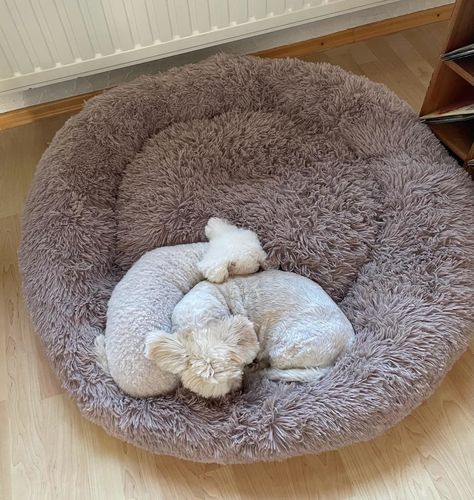 Customer photo review of Puppery Hundebett Wolke 7 - Das Original