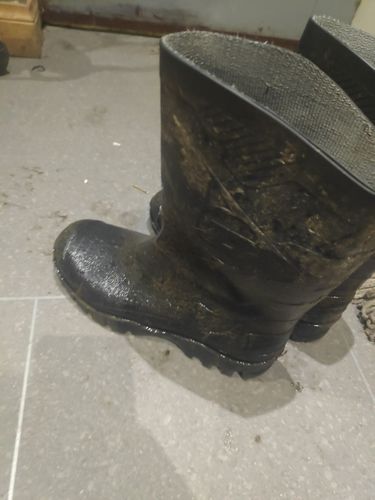 Customer photo review of Dunlop Dee Calf Length Wellington