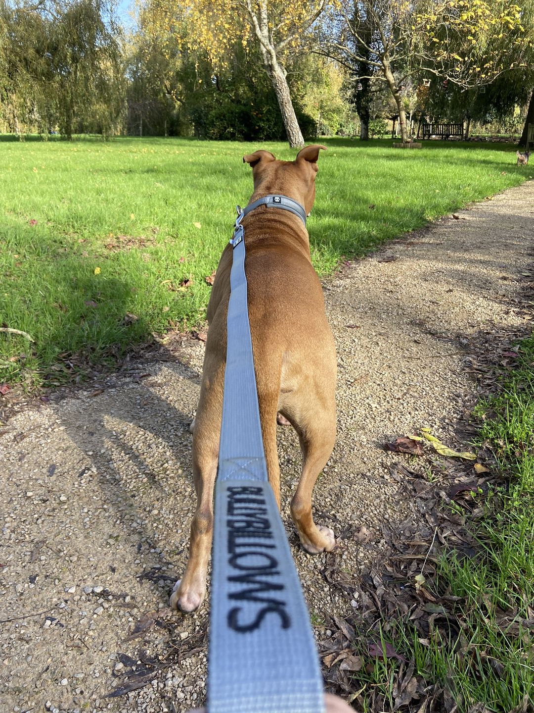Customer photo review of Nylon Snap Hook Lead | Series 2 - Metal Grey